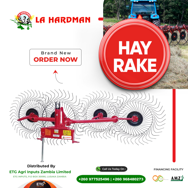 Hay Rake - Image 2